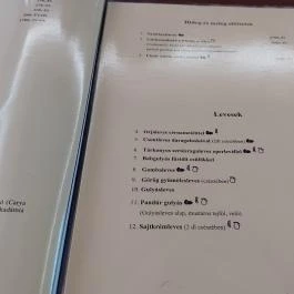 Fürtös Vendéglő , Kecel - Étlap/itallap