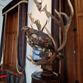 Füzérradványi Károlyi-Kastély Füzérradvány - Egyéb