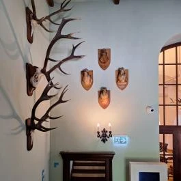 Füzérradványi Károlyi-Kastély Füzérradvány - Belső