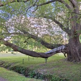 Füzérradványi Károlyi-Kastély Füzérradvány - Egyéb