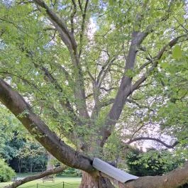 Füzérradványi Károlyi-Kastély Füzérradvány - Egyéb