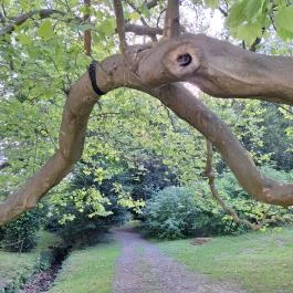 Füzérradványi Károlyi-Kastély Füzérradvány - Egyéb