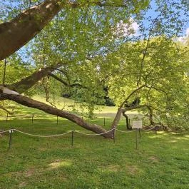 Füzérradványi Károlyi-Kastély Füzérradvány - Egyéb