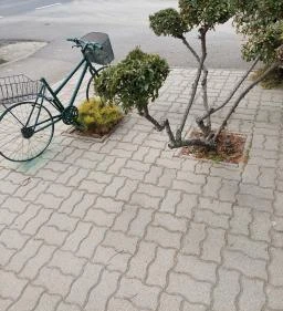 Galéria Étterem & Pizzéria