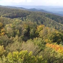 Galya-kilátó Galyatető - Egyéb