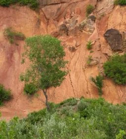 Gánti Bauxitföldtani Park