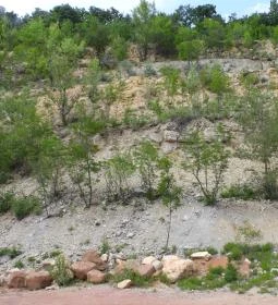 Gánti Bauxitföldtani Park