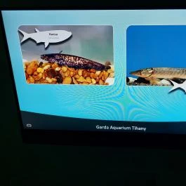 Garda Akvárium Tihany - Egyéb