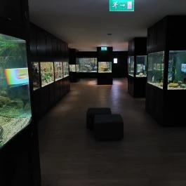 Garda Akvárium Tihany - Belső