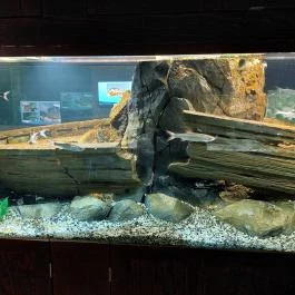 Garda Akvárium Tihany - Egyéb