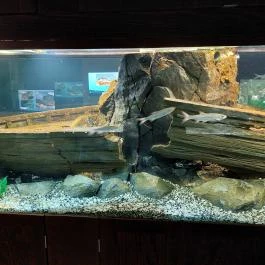 Garda Akvárium Tihany - Egyéb