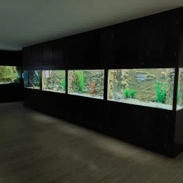 Garda Akvárium Tihany - Belső