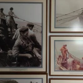 Garda Akvárium Tihany - Egyéb