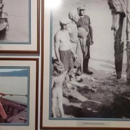 Garda Akvárium Tihany - Egyéb