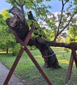 Gárdonyi Géza Emlékház