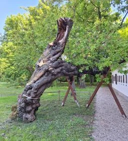 Gárdonyi Géza Emlékház