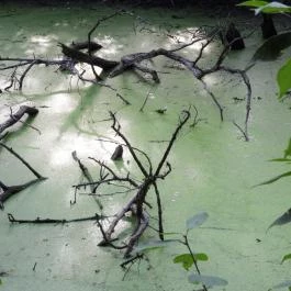 Géberjén Sulyom tanösvény Géberjén - Egyéb