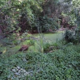 Géberjén Sulyom tanösvény Géberjén - Egyéb