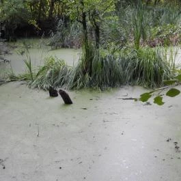 Géberjén Sulyom tanösvény Géberjén - Egyéb