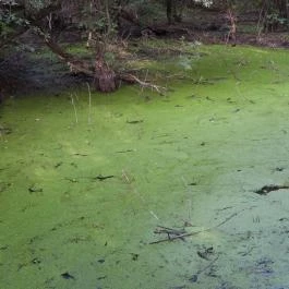 Géberjén Sulyom tanösvény Géberjén - Belső