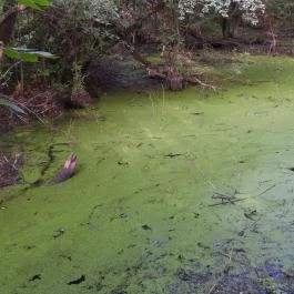 Géberjén Sulyom tanösvény Géberjén - Egyéb
