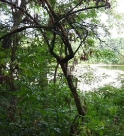 Géberjén Sulyom tanösvény