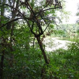 Géberjén Sulyom tanösvény Géberjén - Külső kép