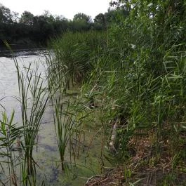 Géberjén Sulyom tanösvény Géberjén - Külső kép