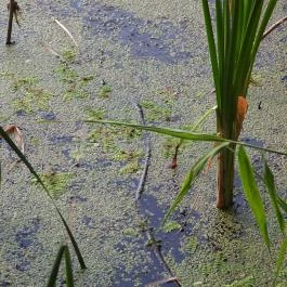 Géberjén Sulyom tanösvény Géberjén - Egyéb