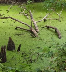 Géberjén Sulyom tanösvény