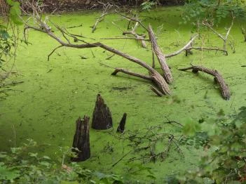 Géberjén Sulyom tanösvény Géberjén