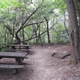 Géberjén Sulyom tanösvény Géberjén - Külső kép