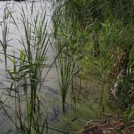 Géberjén Sulyom tanösvény Géberjén - Egyéb