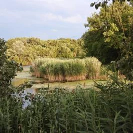 Géberjén Sulyom tanösvény Géberjén - Külső kép