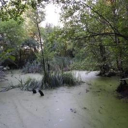 Géberjén Sulyom tanösvény Géberjén - Külső kép