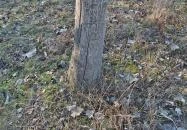 Gellértegyháza történelmi park Orosháza