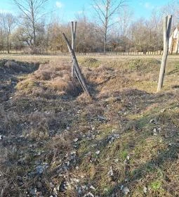 Gellértegyháza történelmi park