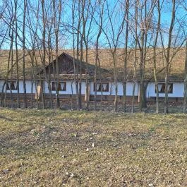 Gellértegyháza történelmi park Orosháza - Külső kép