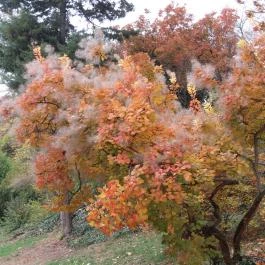 Gellért-hegy Budapest - Külső kép