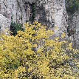 Gellért-hegy Budapest - Külső kép