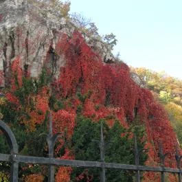 Gellért-hegy Budapest - Külső kép