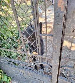 Gindly-Benyovszky-kastély