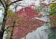 Glücklich Vilma lépcső Budapest