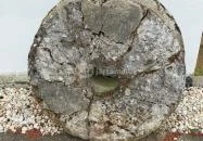 Göcseji Falumúzeum Zalaegerszeg