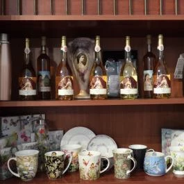 Gödöllői Királyi Kastély Gödöllő - Egyéb