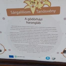 Gödörházi harangláb Magyarszombatfa - Egyéb