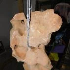 Godot Kortárs Művészeti Intézet Budapest - 