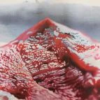 Godot Kortárs Művészeti Intézet Budapest - 