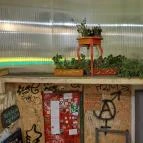 Gólya Presszó Budapest - Egyéb