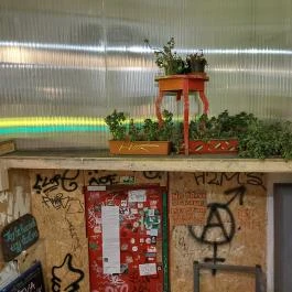 Gólya Presszó Budapest - Egyéb